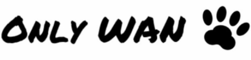 OnlyWAN